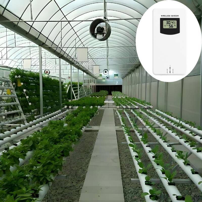 Weather Station Wireless Sensor Digital Display Clock For Outdoor Temperature And Humidity Monitoring
