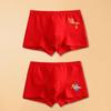 Year of the Horse Boys' Red Zodiac Cotton Boxer Briefs for New Year