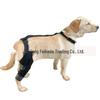Hinterbein Kniebandage für Hunde: Haustier-Reha und Gelenkschutz