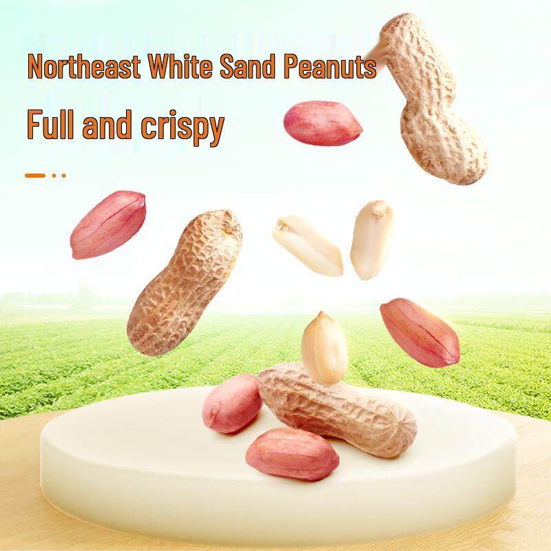 Walong Seaweed Flavor Fish Skin Peanuts 480g
