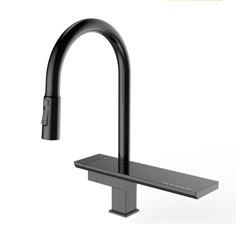 TLXT Matte Black Single-Handle Pull-Out Kitchen Faucet