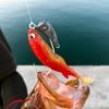 Hatakui Gyoshi RUDIE'S (Pink Sardine, 4.0 Inch)