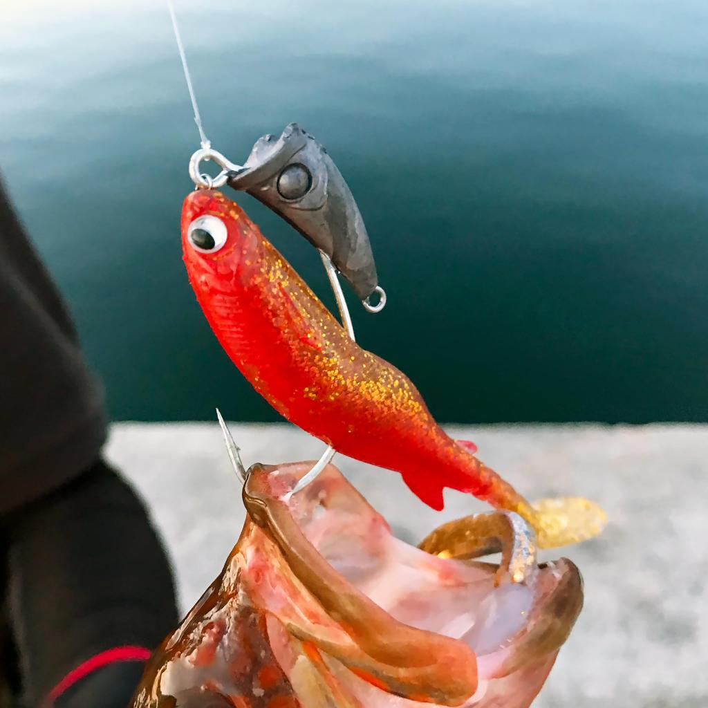 Hatakui Gyoshi RUDIE'S (Pink Sardine, 4.0 Inch)