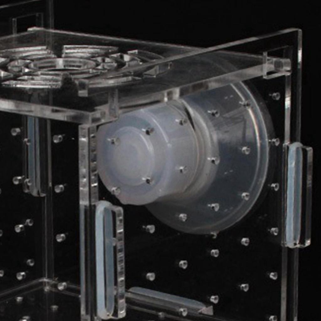 Aquarium Fish Breeder Box Accessory Transparent Isolation Breeding for Guppy