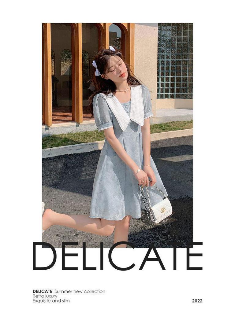 2026 Plus Size French Doll Collar Printed Dress - Retro Waist-Cinched A-Line Skirt for Summer