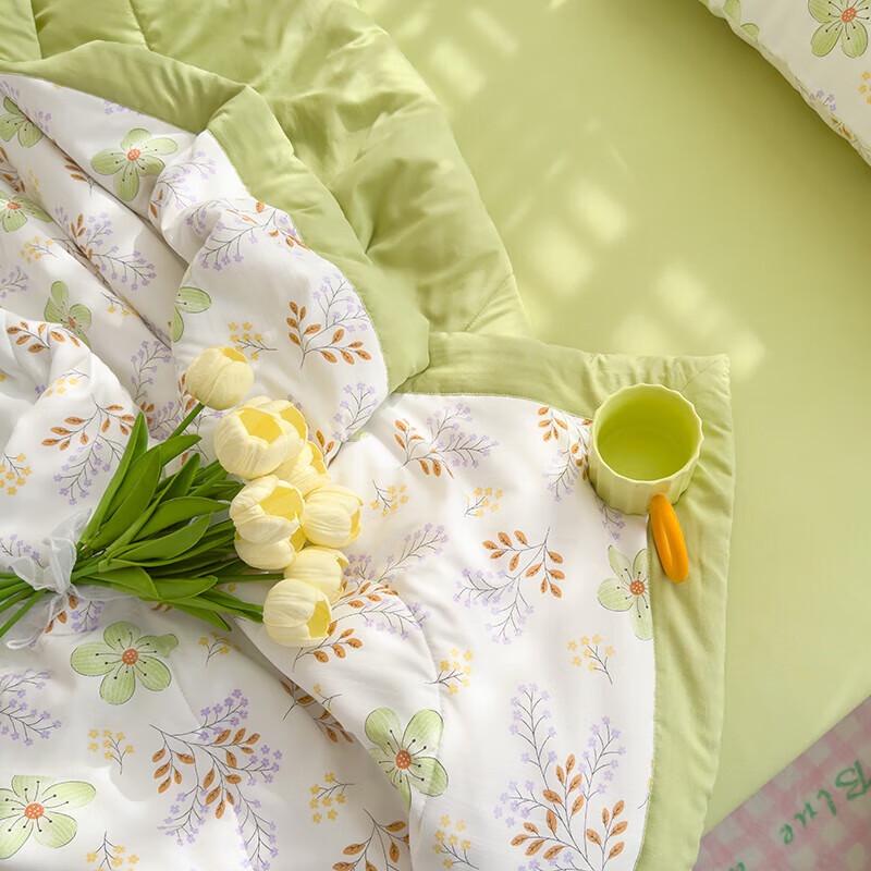 

Grace Washable Summer Air-Conditioning Quilt