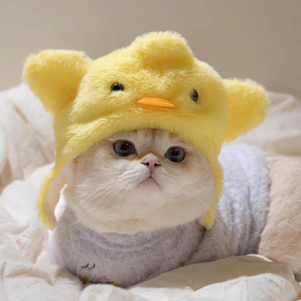 Pet Hat Decoration Headgear Plush Drag Puppy Dog Cat Cuter Than Bear Photo Headgear Funny