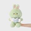 LINE FRIENDS Bunini Message Plush Doll - Green Edition