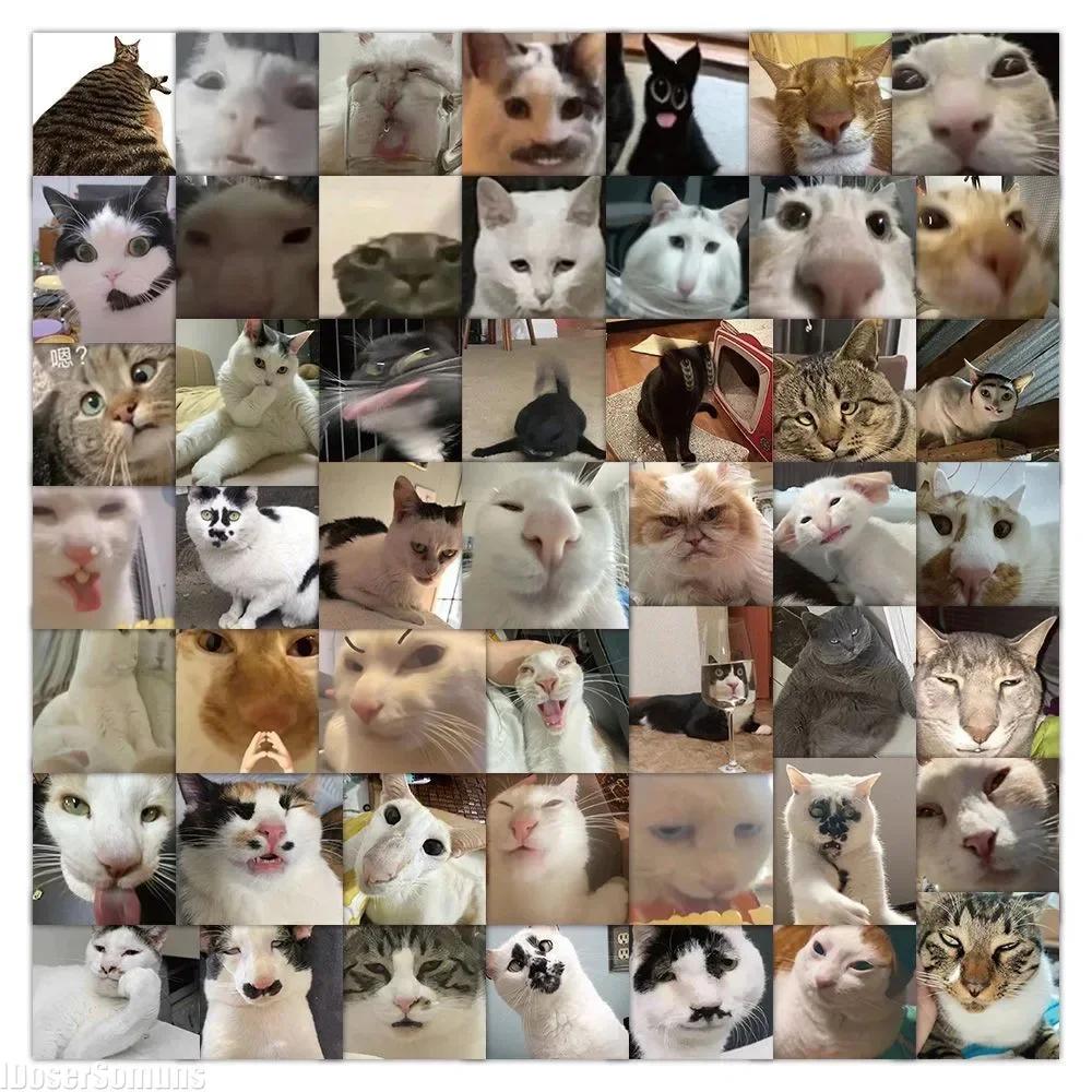 60 Adet Fotoğraf Modern Sevimli Garip Çirkin Gerçek Kedi Scrapbooking Çıkartmaları Malzeme Kırtasiye Çocuk Kendin Yap Malzemeleri El İşi Junk Journal