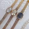 Oval Fashion Temperament Scale High-end Simple Wheat Mesh Belt Quartz Watch Women's Watch