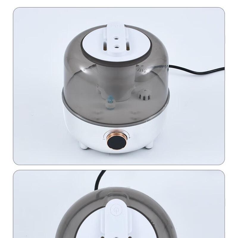 Shengbai Water Heated Electric Blanket with Humidifier