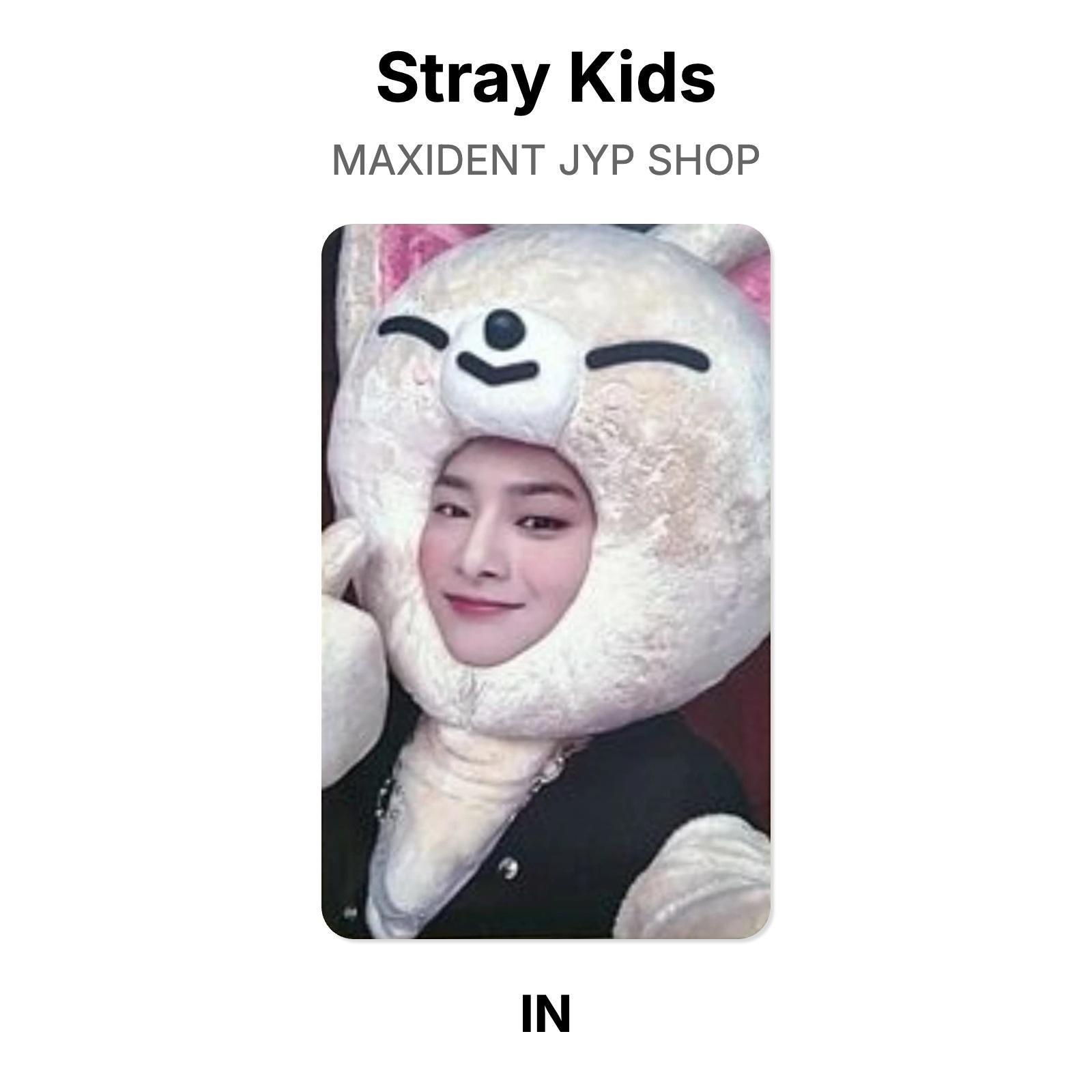 Stray Kids MAXIDENT JYP SHOP Официальная фотокарточка I.N