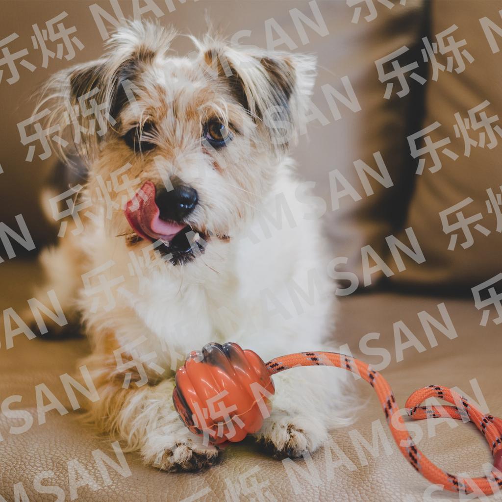 Durable Rubber Dog Chew Ball With Rope, Interactive Molar Toy For Teeth Cleaning Training Pet Toys