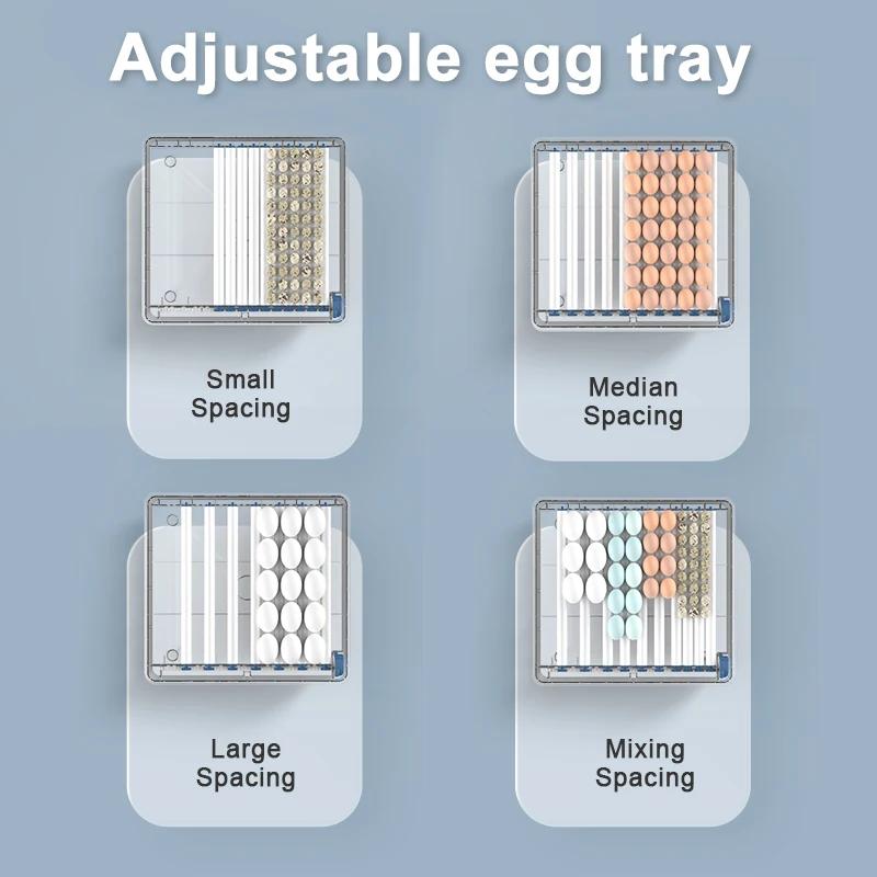 Egg Automatic Incubator for Egg Brooder 110V 220 V Power Plug Dual Duct Warm Air Internal Circulatio Automatic Hatching Egg Farm