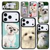 Capa Case for iPhone 17 Air 16 Pro Max 15 Plus 11 13 Mini 14 12 Back Phone Cover Maltese Dog Puppy Soft