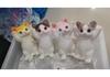 Simulated Oversized Cat Pinch Music Cute Pet Vent Toy Large, Medium And Small High-Value Cat Doll Decompression Toy