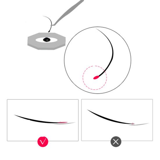 Schnell trocknender Wimpernkleber, keine Simulation, langlebiges Wimpernverlängerungs-Make-up-Tool