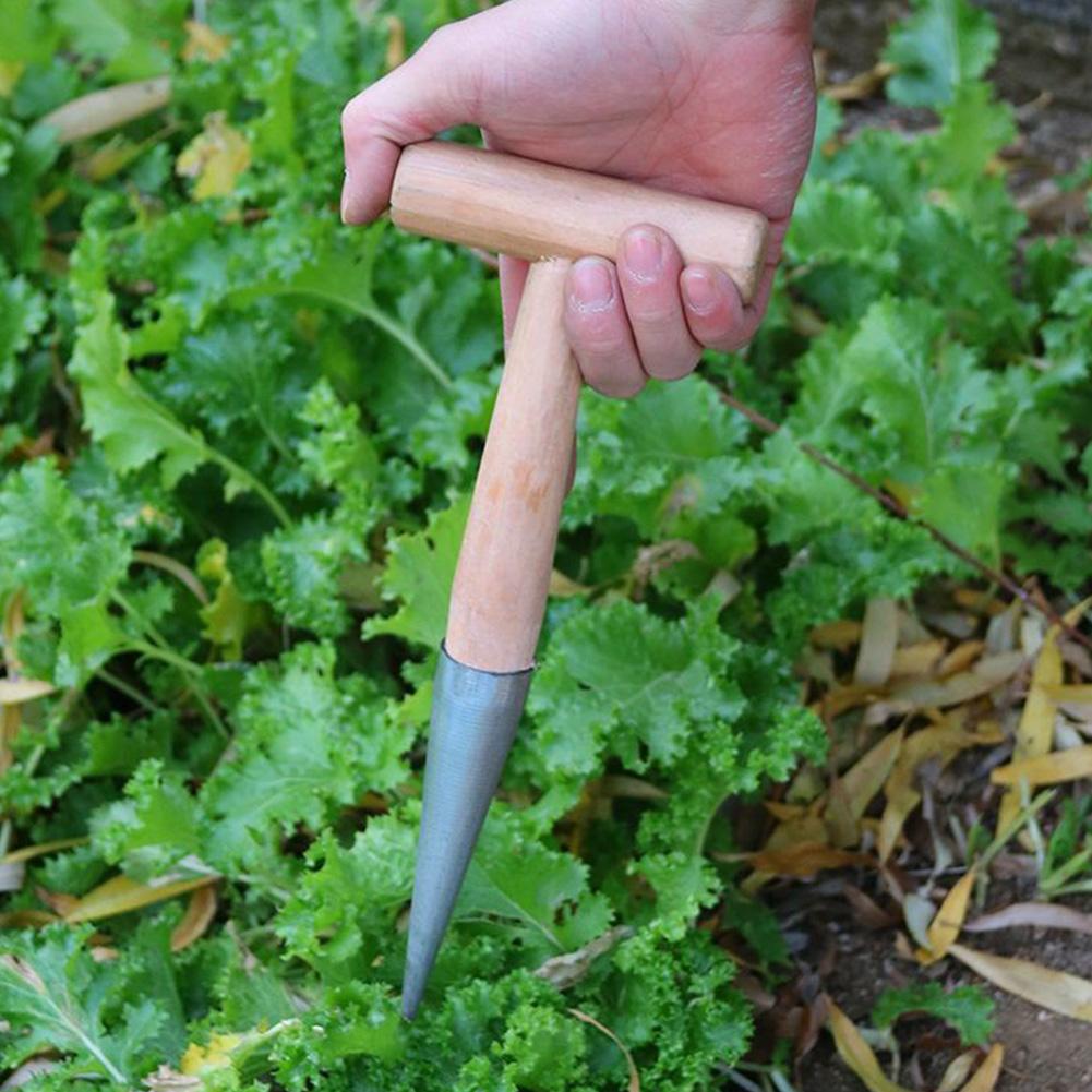 1/2Pcs T-Wood Handle Hand Sow Dibbler Sowing Seeds Bulbs Digging Garden Dibber Planter Tool Transplanting Seed Dispenser Garden