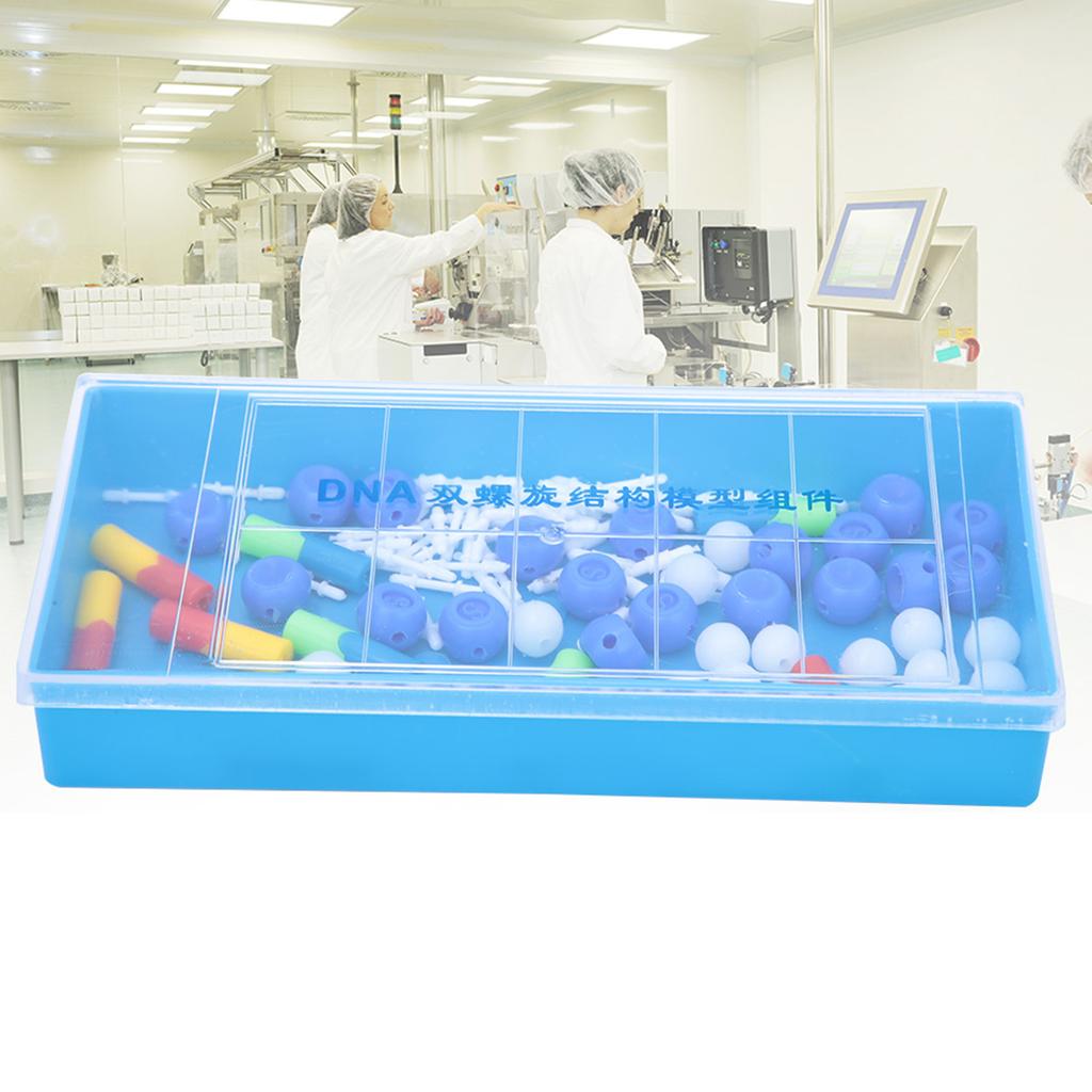 Science Educational Double Helix DNA Model Biological Molecular Teaching Aid InstrumentDNA Model