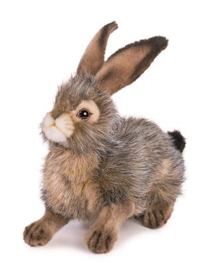 BH6284 HANSA Rabbit 25 Black-tailed