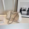 Borsa Casual Superficie Morbida Grande Capacità Donna 2025 Nuova Popolare All-Match Borsa a Tracolla con Catena Borsa a Spalla Popolare Argento Borsa a Mano