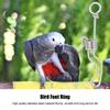 Small Stainless Steel Pet Bird Activity Opening Training Foot Ring Accessories Parrots Cage Supplies