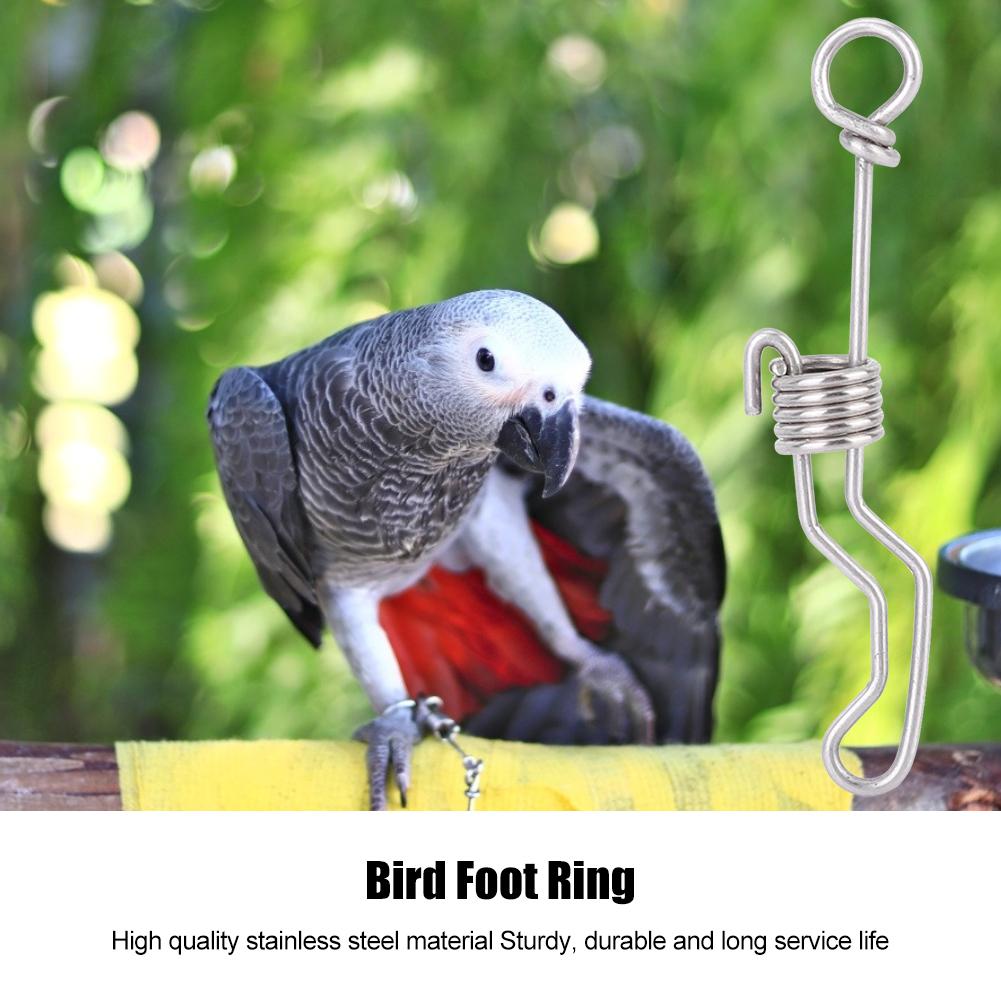 Small Stainless Steel Pet Bird Activity Opening Training Foot Ring Accessories Parrots Cage Supplies