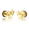 1Pair Star Lightning Titanium Steel Unisex Women Men Black Clear Crystal Zircon Ear Studs Earrings Shiny Piercing Jewelry Gift