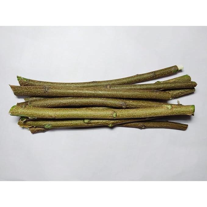 Datun di Neem Naturale Biologico Ayurvedico Spazzolino Manuale Bastoncini da Masticare Rametti di Albero di Nim 100g