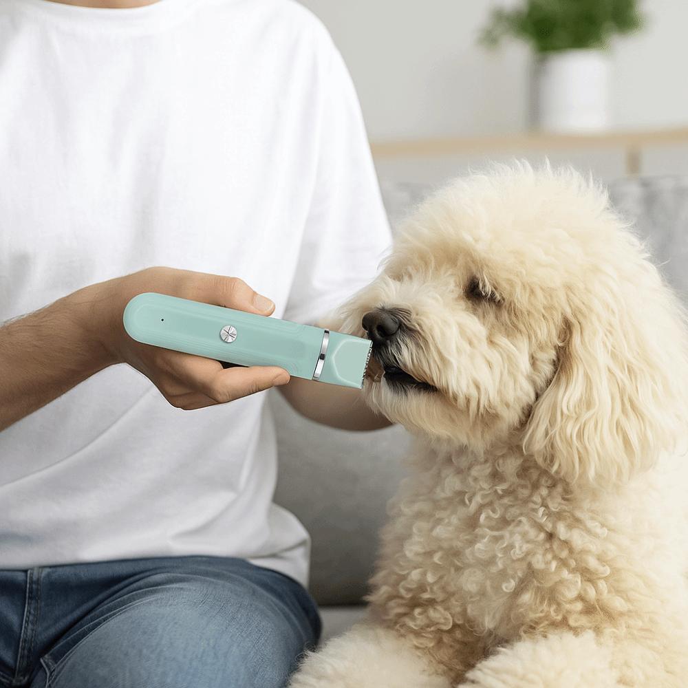 High Power 4 In 1 Electric Pet Hair Shaver 4 Different Blades Pet Grooming Clipper  Cat Grooming
