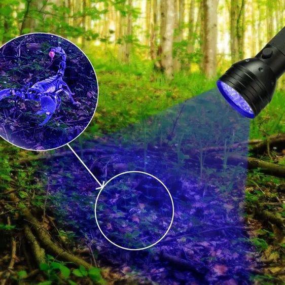 51 LED Lila Licht Taschenlampe - Aluminiumlegierung Geld- & Schmuckdetektor, Skorpion-Identifikation.