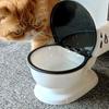 650ML Dispenser d'acqua per toilette per gatti Alimentazione automatica Design a sifone con coperchio antipolvere