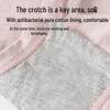 Urban Beauty Women's High-Waist Cotton Tummy Control Antibacterial Underwear 4-Pack