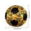 AMAZONAS FC Indoor Soccer Ball Colorful All Ages Size 5 Machine Stitched PVC Competition Ready Durable High-Bounce
