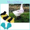 Fashionable And Functional Duck And Goose Foot Protection Shoes In Vibrant Color Options