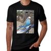 Blue  White Parakeet Sitting TShirt Holiday Outdoor TShirt