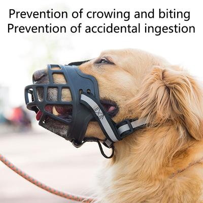 Cani – Attrezzature per l'addestramento dei cani