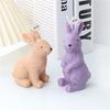 3D Multi-style Cute Rabbit Silicone Candle Mold DIY Easter Animal Aromatherapy Plaster Soap Resin Mould  Crafts Casting Tool