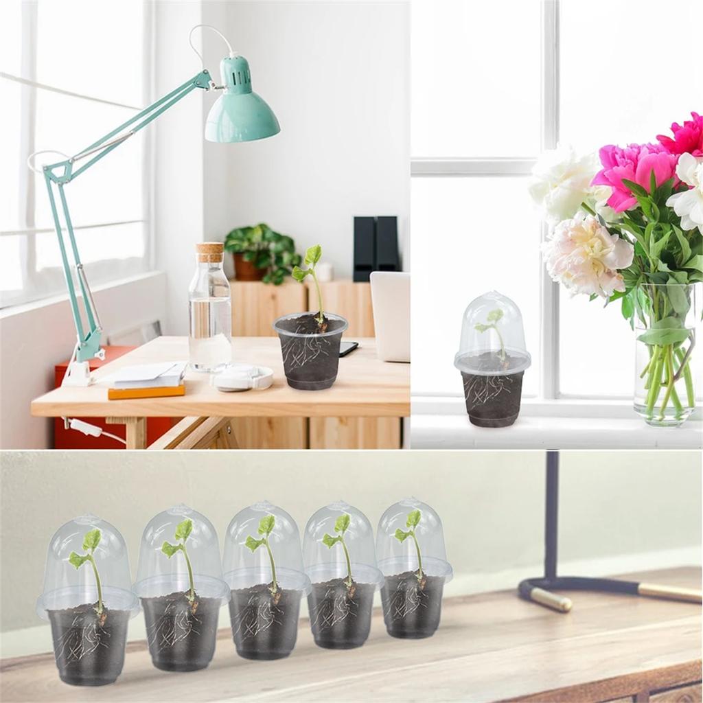 10/20Pcs Seedling Nursery Cup Thickened 3.5/4/5/6 Inch PET Garden Herb Flower Cultivation Seeds Germinate Seedling Pot with Lid