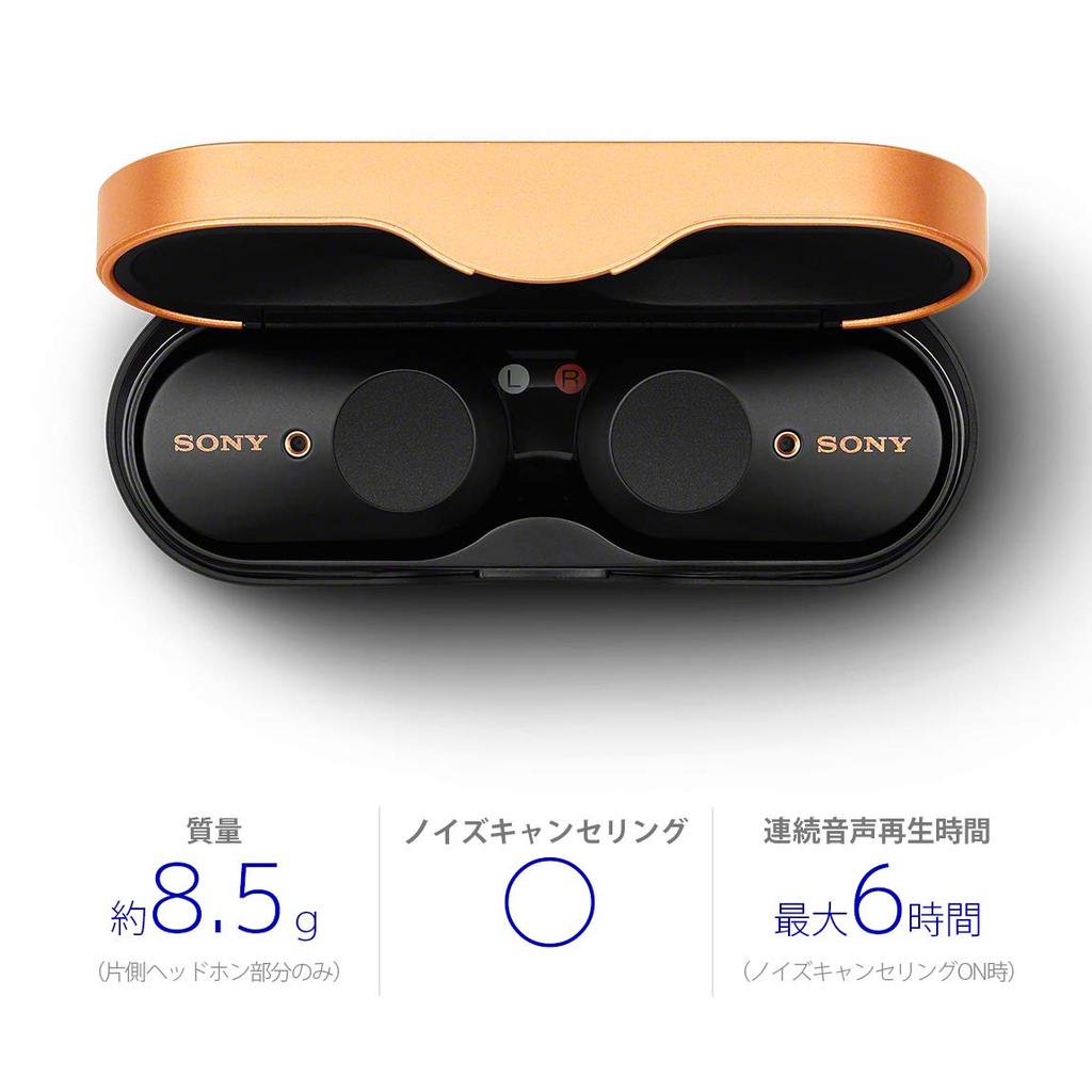 Sony Wireless Earphones Fully Wireless Amazon Alexa Bluetooth Audio Equivalent Up to 6 Hours of Continuous Playback 2019 Model Microphone 360 Reality