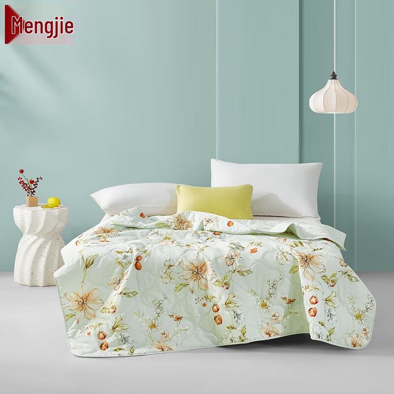 

Mengjie Small Pomegranate Ultrasonic Printed Summer Quilt