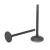 Exhaust Intake Valve Kit Black Exhaust Intake Valve Set Replacement for XG250 TRICKER 2004?2017