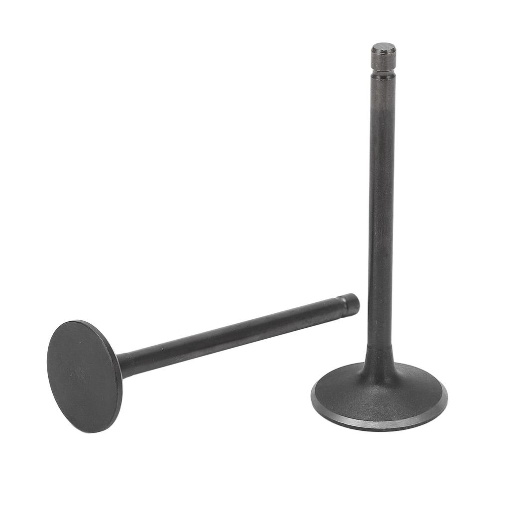 Exhaust Intake Valve Kit Black Exhaust Intake Valve Set Replacement for XG250 TRICKER 2004?2017