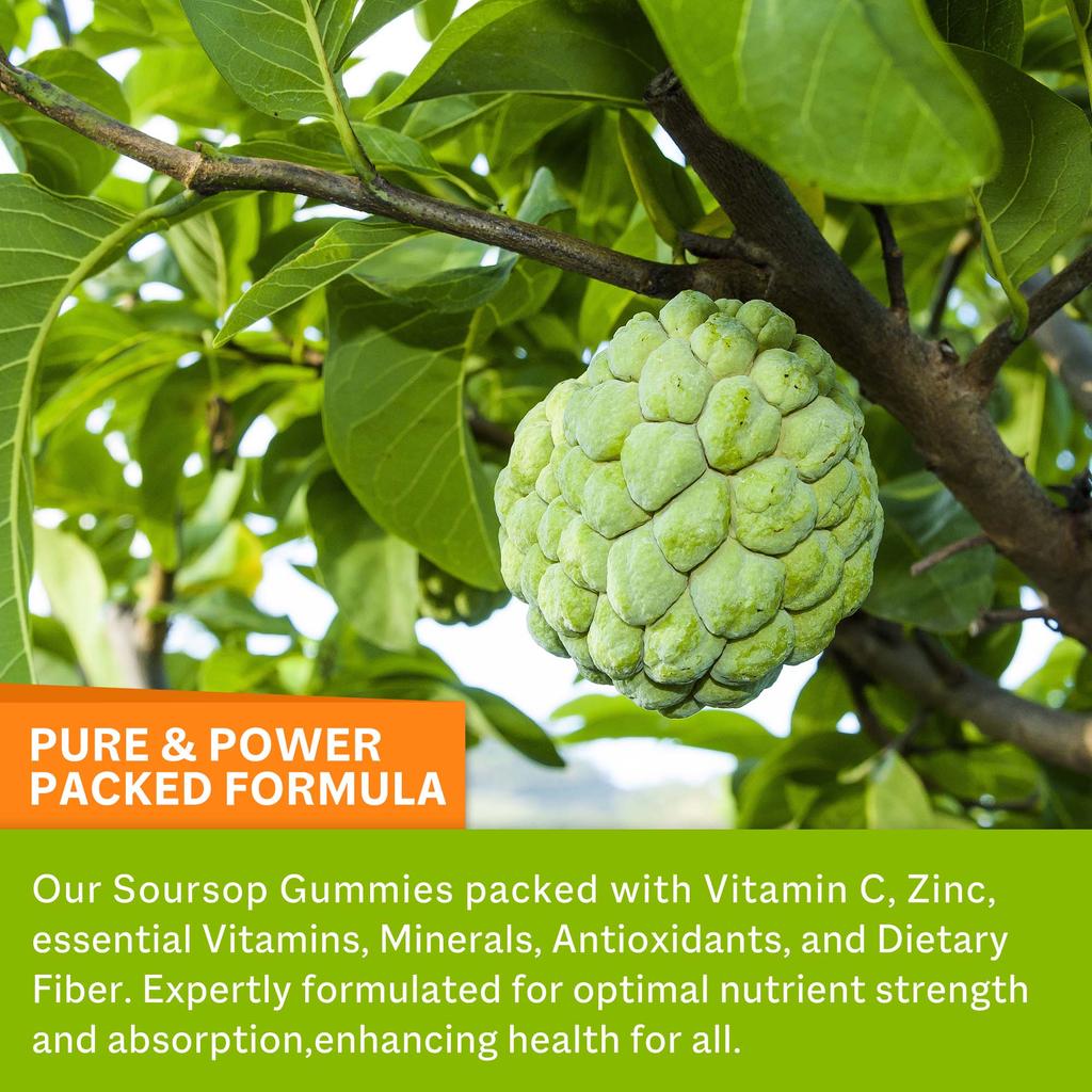 Soursop-Gummibärchen, hergestellt aus Bio-Soursop-Blatt- und Fruchtextrakten, unterstützen die Verdauung, stärken das Immunsystem und bieten antioxidative Vorteile.