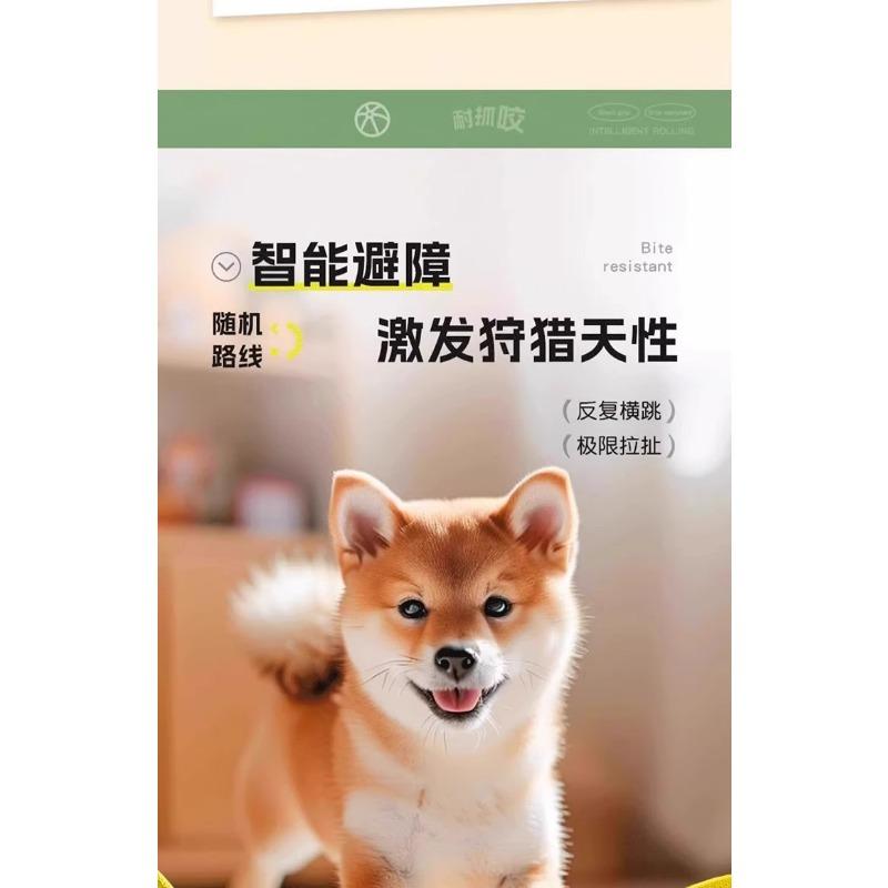 Automatic Smart Electric Bouncing Ball Bite Resistant Interactive Pet Toy For Dogs