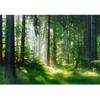 Forest Wallpaper Mystical Green Tree Hole Forest Mural Removable Nature Scenery Wall Murals Living Room Bedroom Home Decor