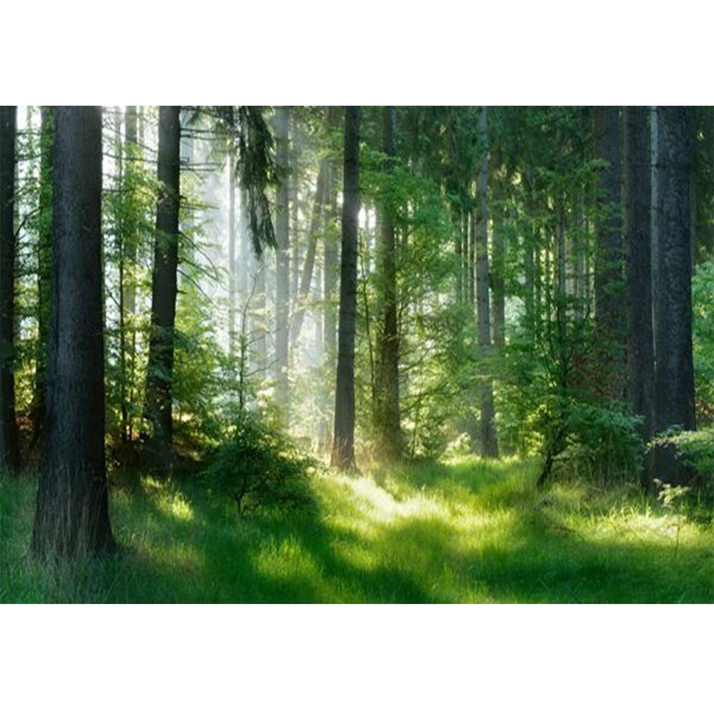 Forest Wallpaper Mystical Green Tree Hole Forest Mural Removable Nature Scenery Wall Murals Living Room Bedroom Home Decor