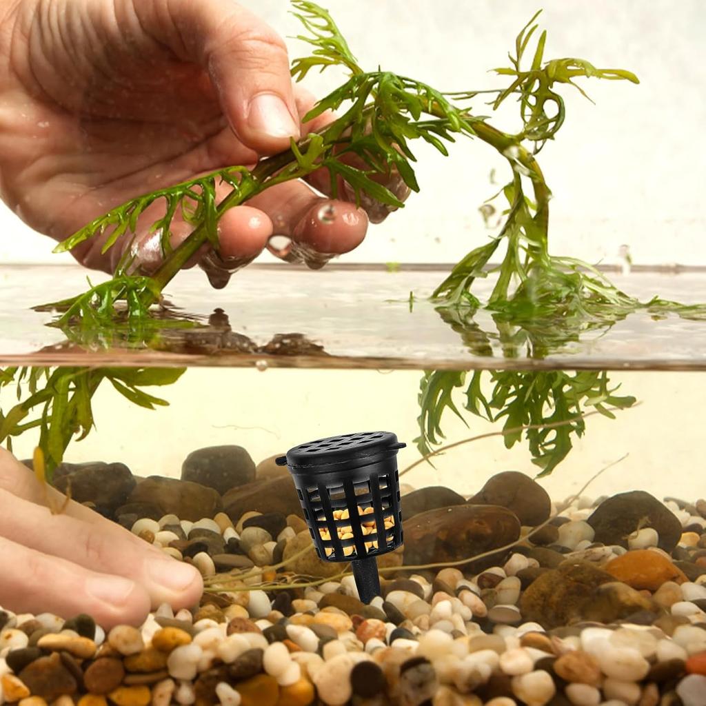 Yardwe 50pcs Bonsai Fertilizer Baskets, Fertilizer Mesh Baskets Garden Nursery Pots with Lid Planting Nutrition Cups for Succulent, Orchid, Bonsai