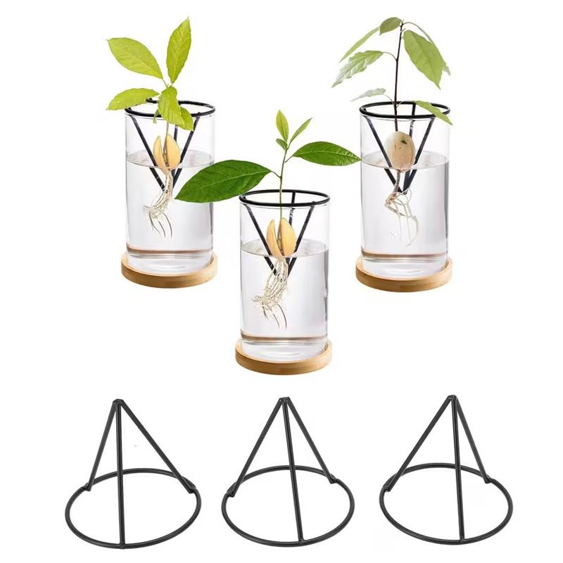 1/2/4 Pezzi Portavasi Germogliatori per Semi di Avocado Supporto Metallico Triangolare per la Germinazione dei Semi di Avocado Supporto per la Coltivazione di Carote, Patate Dolci