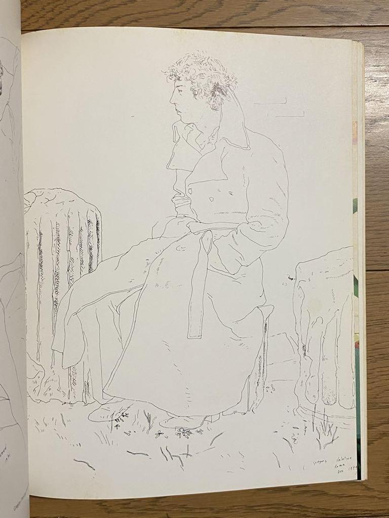 [USED] Pictures by DAVID HOCKNEY